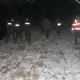 Tczew - Na widok weterynarza ze środkiem usypiającym łosie uciekły do Śliwin