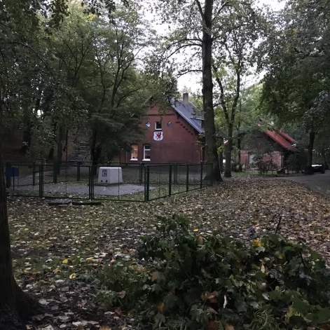Tczew - Park Miejski jesienią z dnia 7.10.2016