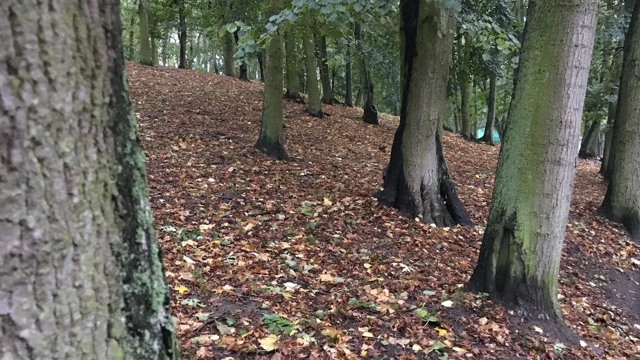 Tczew - Park Miejski jesienią z dnia 7.10.2016