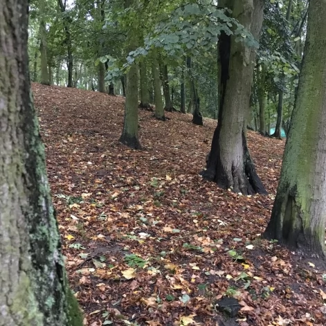 Tczew - Park Miejski jesienią z dnia 7.10.2016