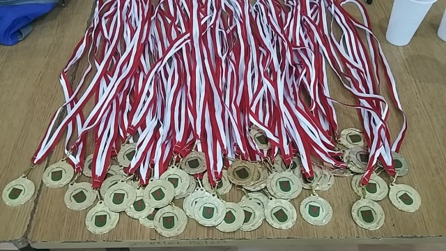 Tczew - Rodzinny Dzień Sportu w Lubiszewie