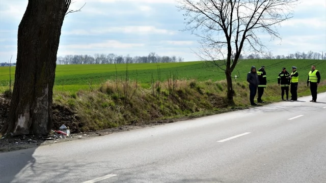 Tczew - Wytną drzewo w miejscu śmiertelnego wypadku