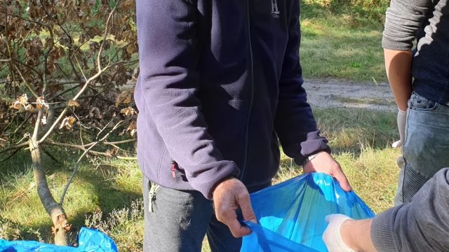 Tczew - Wysprzątali las miejski. Kilkadziesiąt worków w kilka godzin