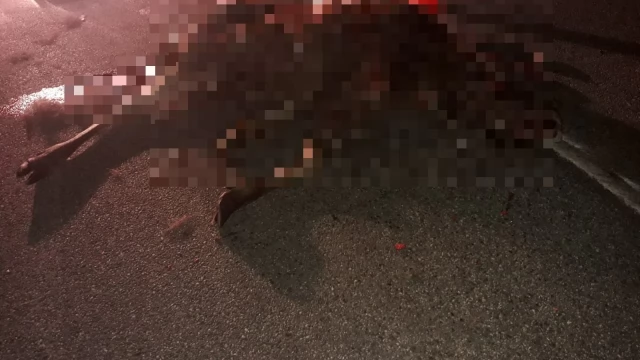 Tczew - Łoś na A1. Pięć samochodów wypadło z trasy, dwie osoby w szpitalu