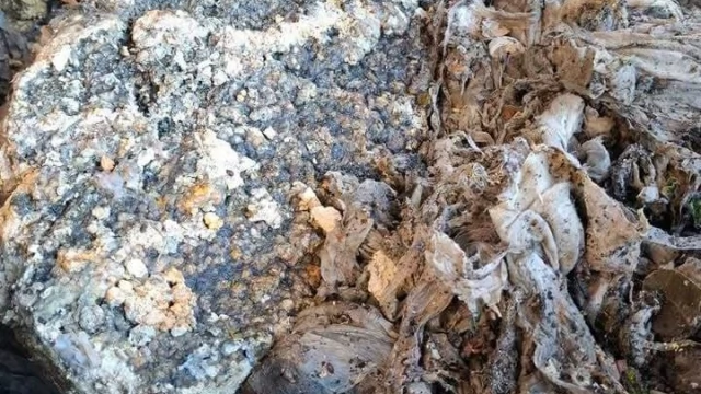 Tczew - Zalana piwnica na Bajkowym. ZWiK wyjaśnia, co jest przyczyną