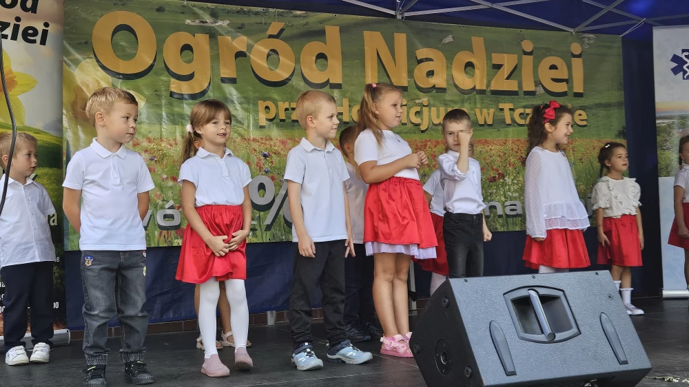 Tczew - Festyn Ogrody Nadziei