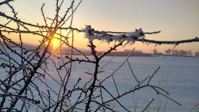 Tczew - To będzie mroźna noc. Nawet -17°C