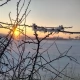 Tczew - To będzie mroźna noc. Nawet -17°C