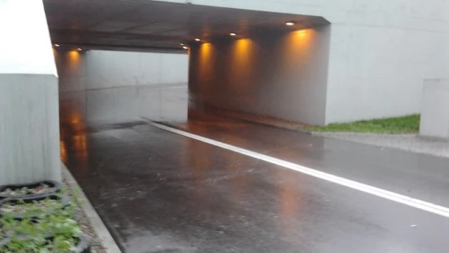 Tczew - Burza z gradobiciem nad Tczewem, w Waćmierku drzewo runęło na samochód