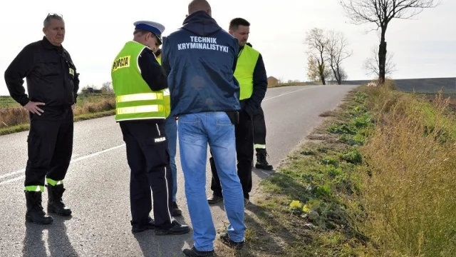 Tczew - Wytną drzewo, po zderzeniu z którym zginęły matka i córka