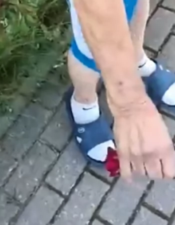 Róża