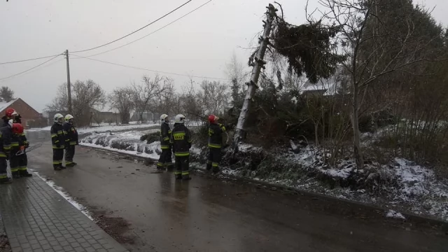 Tczew - 11 strażackich interwencji i 7 kolizji po załamaniu pogody