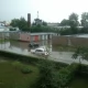 Tczew - Zalana Gryfa Pomorskiego