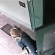 Tczew - Poznajesz tę kobietę? Szuka jej policja