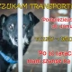 Tczew - Przez lata czekał na dom. Teraz zakochało się w nim starsze małżeństwo