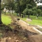 Tczew - Na Piotrowie powstaje park