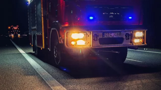 Tczew - Zderzenie dwóch aut z łosiem