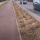 Tczew - Nowe nasadzenia zieleni na terenie Tczewa