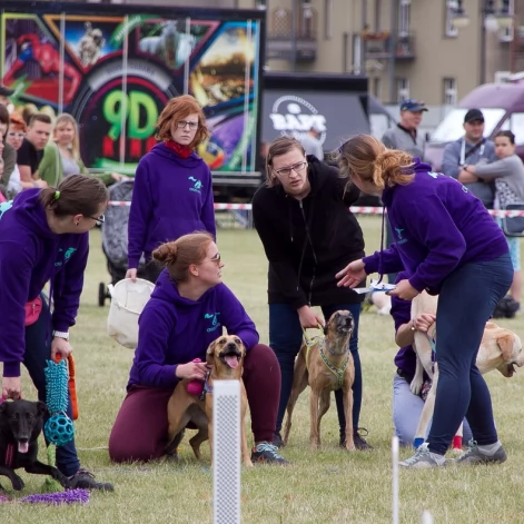Tczew - Flyball - Wyścigi Psich Sztafet nad Wisłą