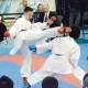 Tczew - Kolejne sukcesy zawodników tczewskiego klubu karate-do