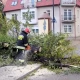 Tczew - 11 strażackich interwencji przy usuwaniu skutków silnego wiatru