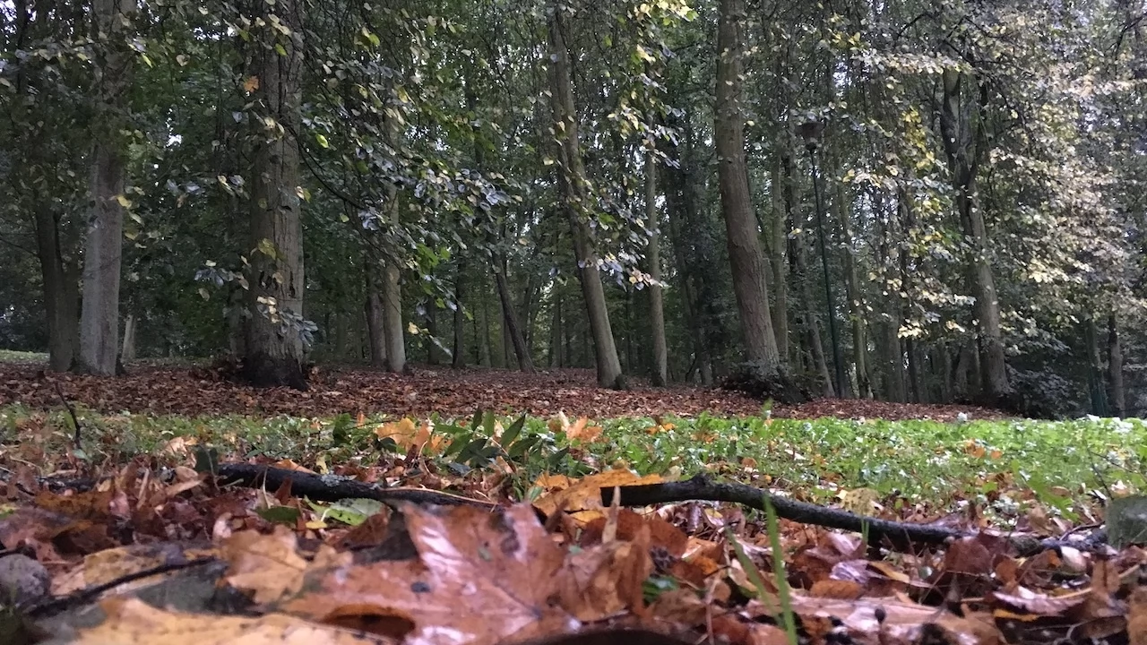Tczew - Park Miejski jesienią z dnia 7.10.2016