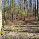 Tczew - Leśnicy zapraszają na spacer