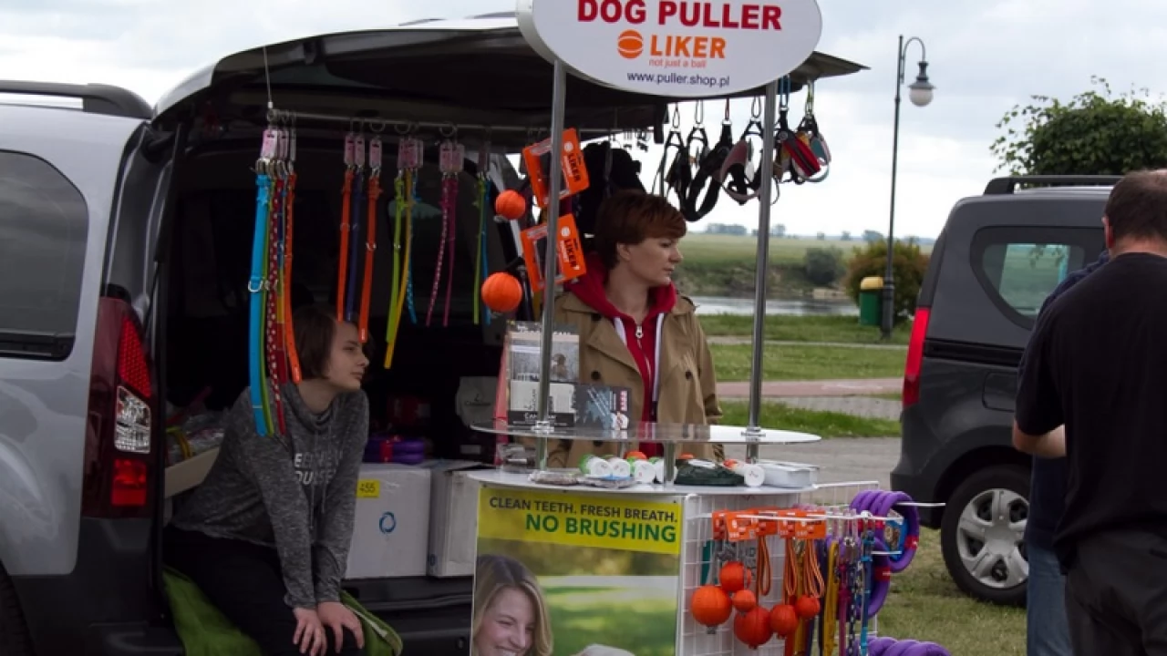 Tczew - Flyball - Wyścigi Psich Sztafet nad Wisłą