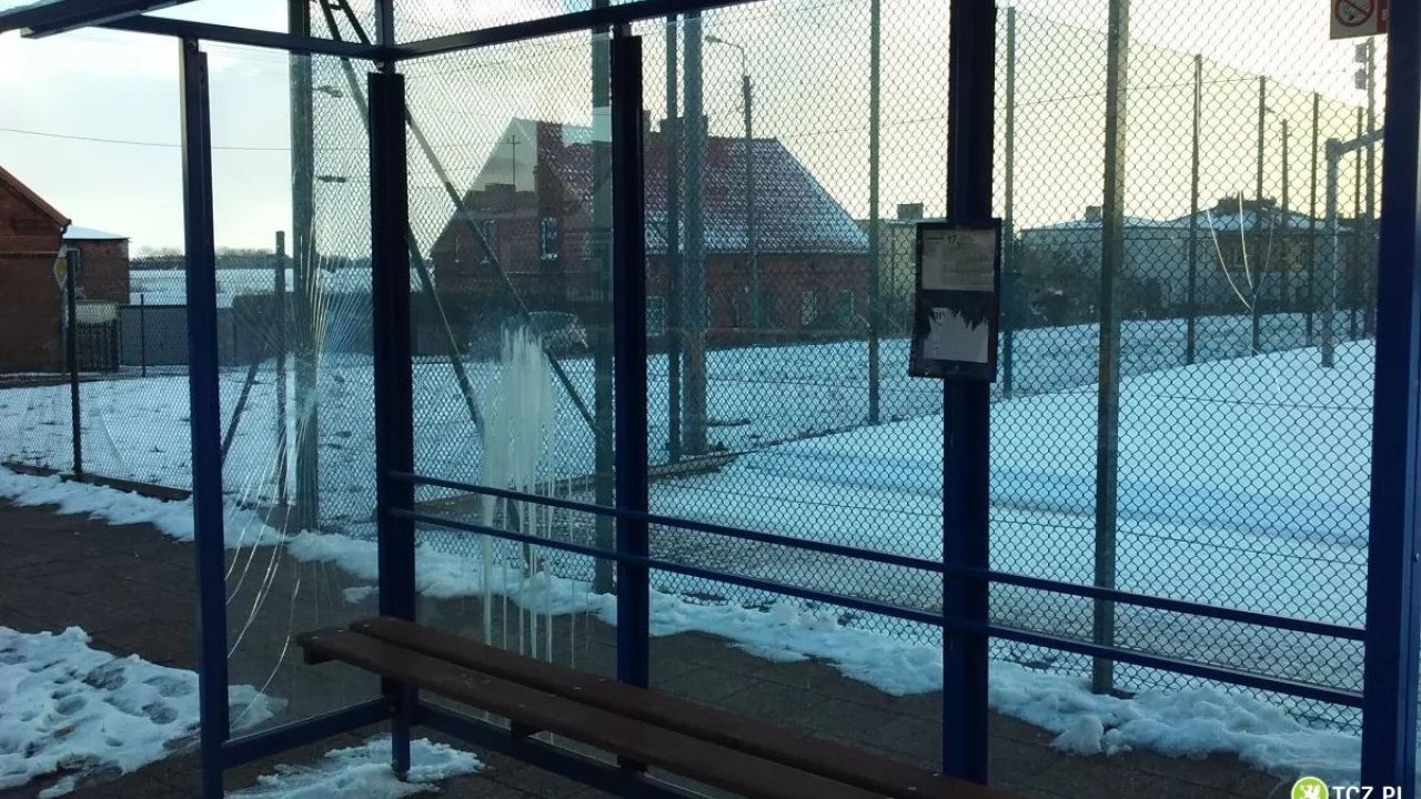 Tczew - Szok! Tak wandale niszczą nasze miasto