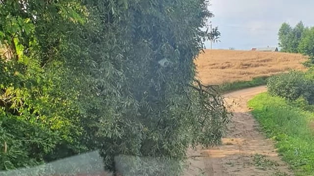 Tczew - Duże straty po nawałnicy w południowej części powiatu tczewskiego