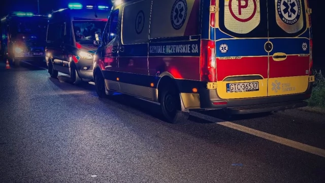 Tczew - Zderzenie dwóch aut z łosiem