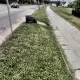 Tczew - Koszenie traw. Gdzie szacunek i zrozumienie dla mieszkańców?