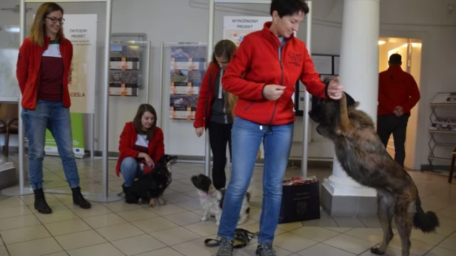 Tczew - Tczew ma swoją reprezentację w... Flyball 