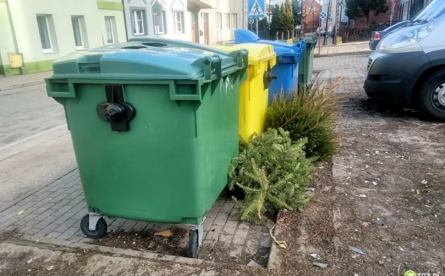 Tczew - Co zrobić z choinką po świętach?