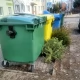 Tczew - Co zrobić z choinką po świętach?