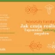 Tczew - Warsztaty familijne