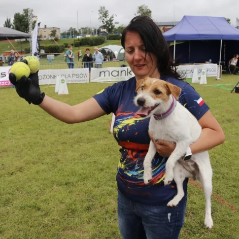 Tczew - Zawody Flyball, czyli wyścig psich sztafet