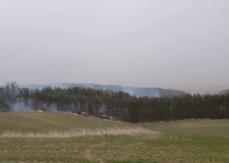 Tczew - Płonął las. Strażacy opanowali sytuację