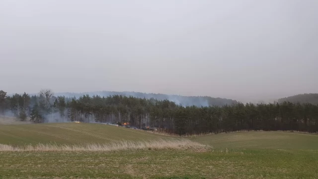 Tczew - Płonął las. Strażacy opanowali sytuację