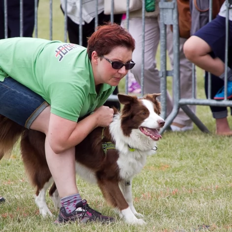 Tczew - Flyball - Wyścigi Psich Sztafet nad Wisłą
