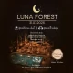 Tczew - LUNA FOREST | Pierwsza edycja