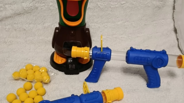 Tczew - Głodna kaczka