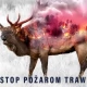 Tczew - A trawy wciąż płoną... Strażacy ponawiają apel