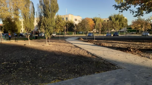 Tczew - 30 drzew, 2 tysiące krzewów - trwa zagospodarowywanie skweru na Suchostrzygach