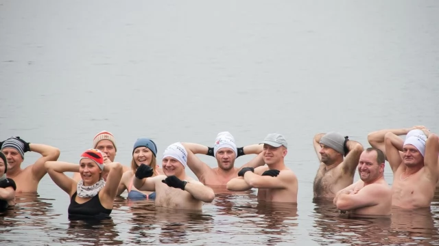 Tczew - Zimno? Nie im! Morsy zapraszają do wspólnych kąpieli [FOTO]