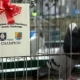 Tczew - Rasowe gołębie i ozdobny drób w Pelplinie