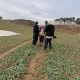 Tczew - Odnaleźli seniorkę w lesie. Była wychłodzona