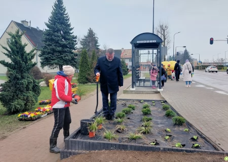 Tczew - Kolejny zielony przystanek na terenie Tczewa