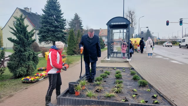 Tczew - Kolejny zielony przystanek na terenie Tczewa