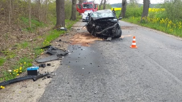 Tczew - Auto uderzyło w drzewo. Matka i kilkuletnie dziecko w szpitalu